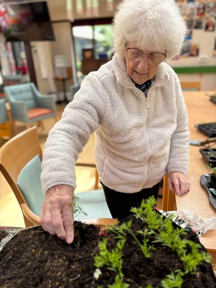 Stanecroft - Stanecroft lifestyle update 2