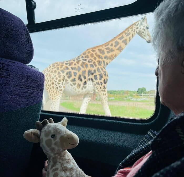Trips and outings