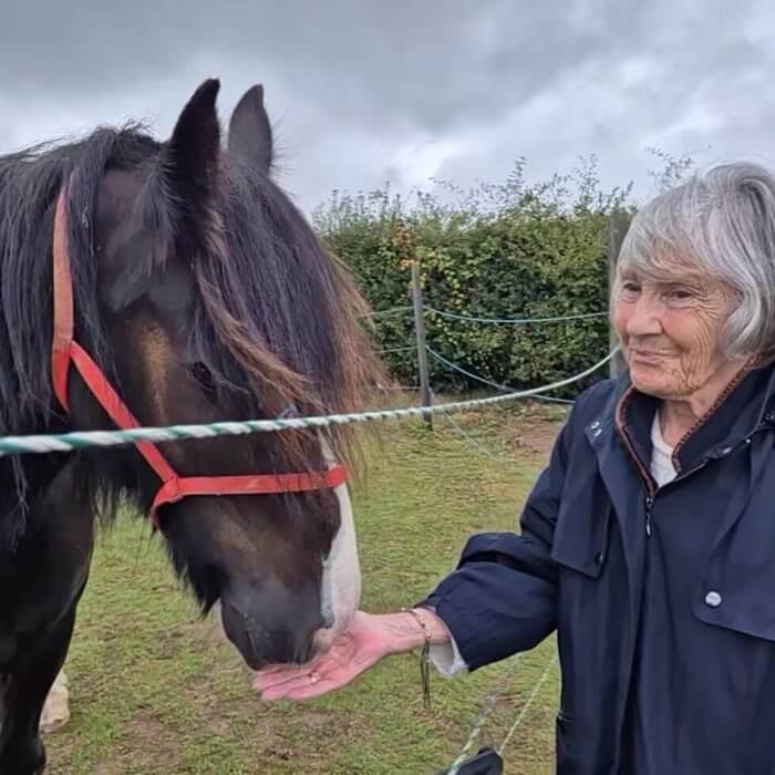 The Potteries - The Potteries horse wish