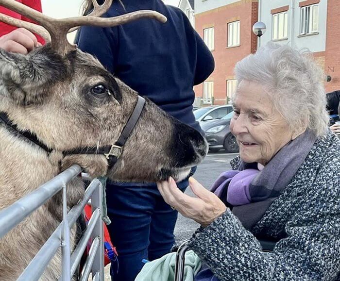 Care Assistant Bank - Priors House reindeers 
