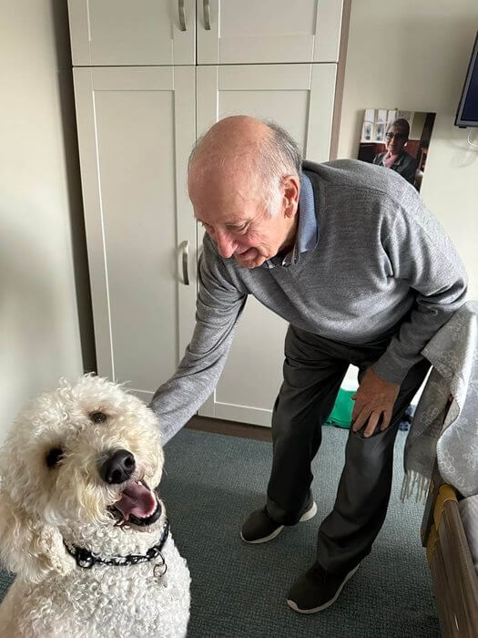 Care Assistant - Harrier Lodge dog visit 