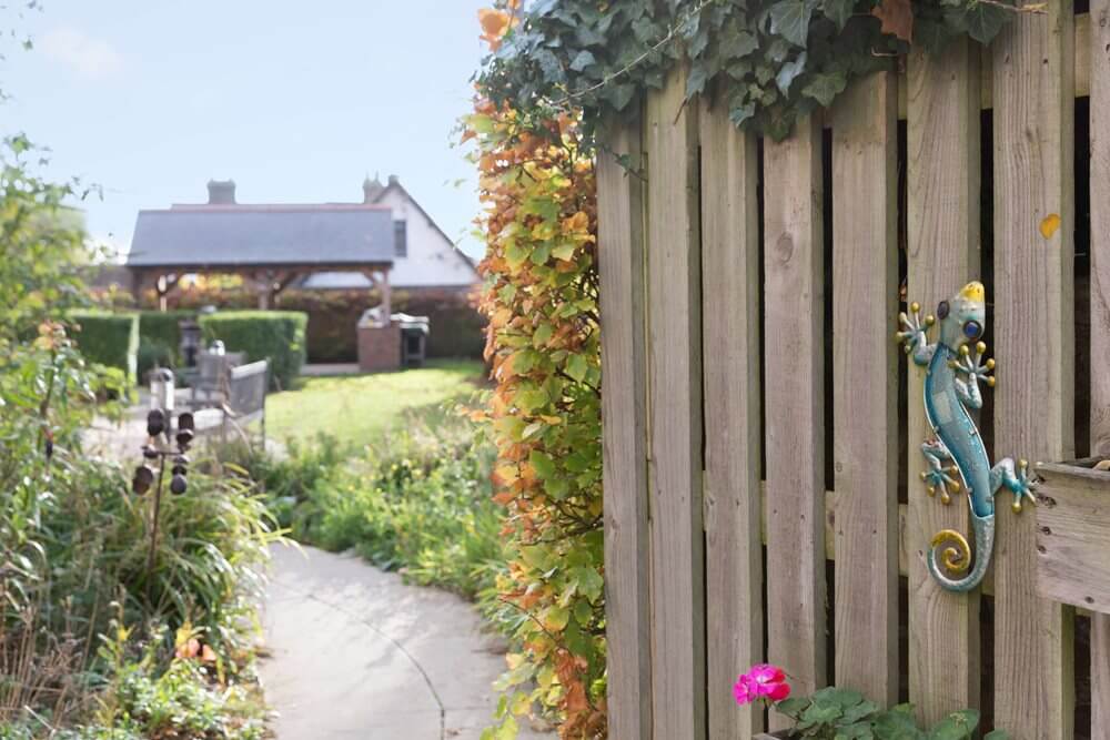 Snowdrop House - Snowdrop House garden 1