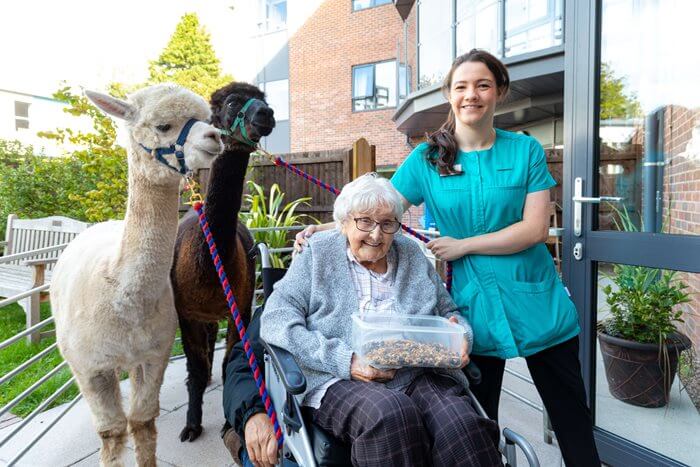 Edgbaston Manor - Edgbaston - Resident with alpacas 