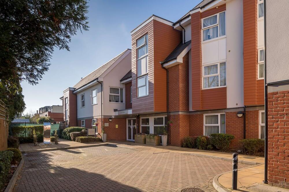 Ivy Grove - Ivy Grove EXT