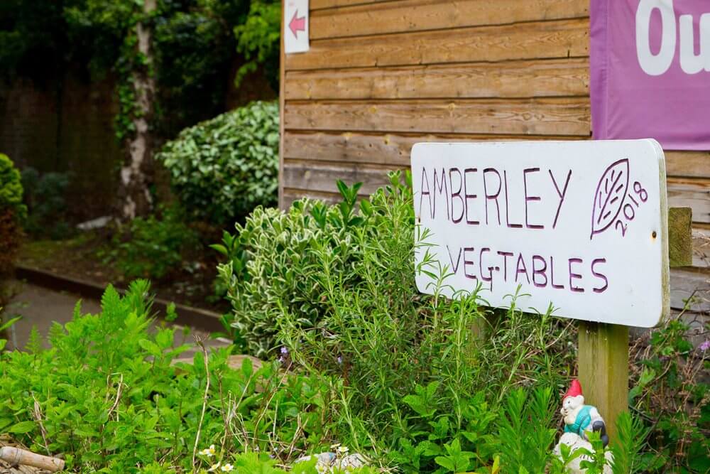 Amberley Lodge - Amberley Lodge garden 