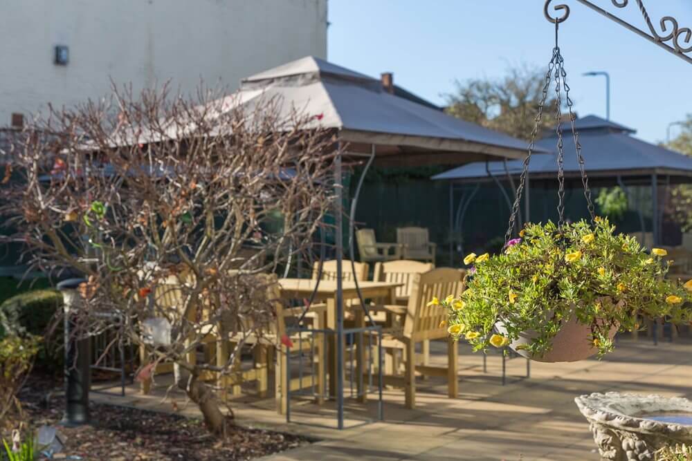 Ivy Grove - Ivy Grove garden 2