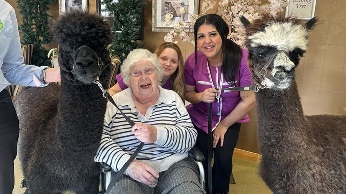 Mercia Grange - Mercia Grange Alpaca visit