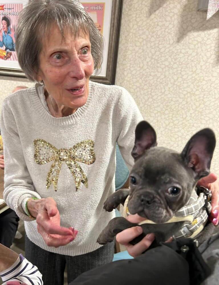 Care Assistant Nights - Harrier Lodge pet therapy