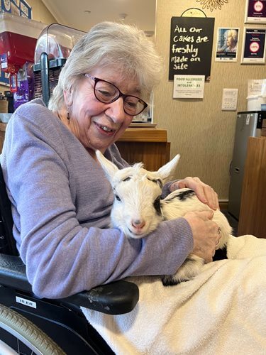 Bank Care Assistant - Colne View goats 