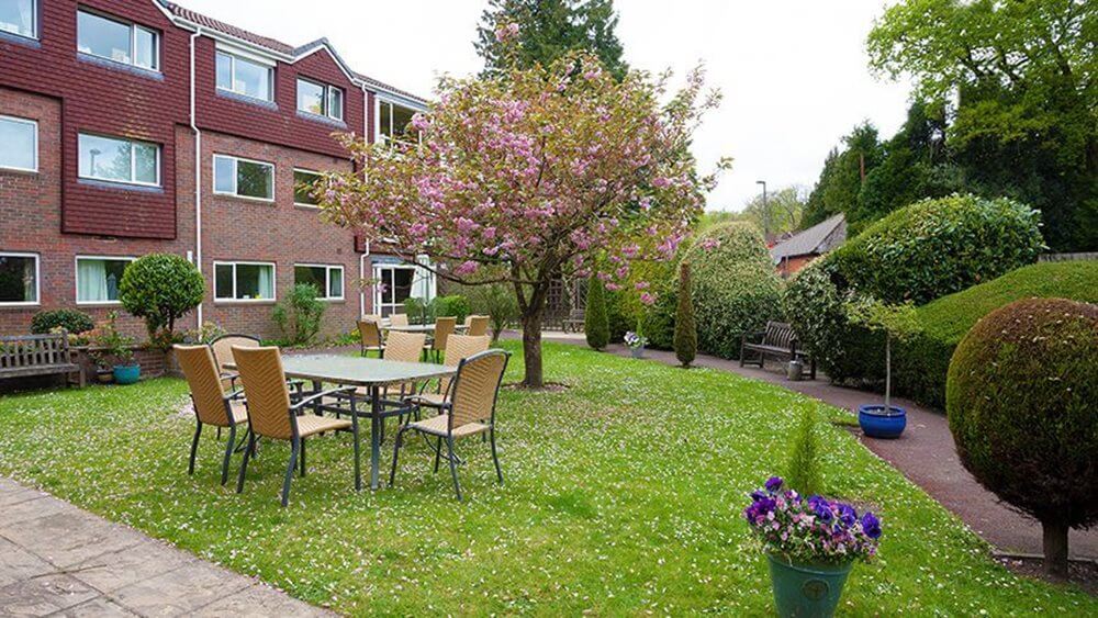 Chestnut View - Chestnut View garden