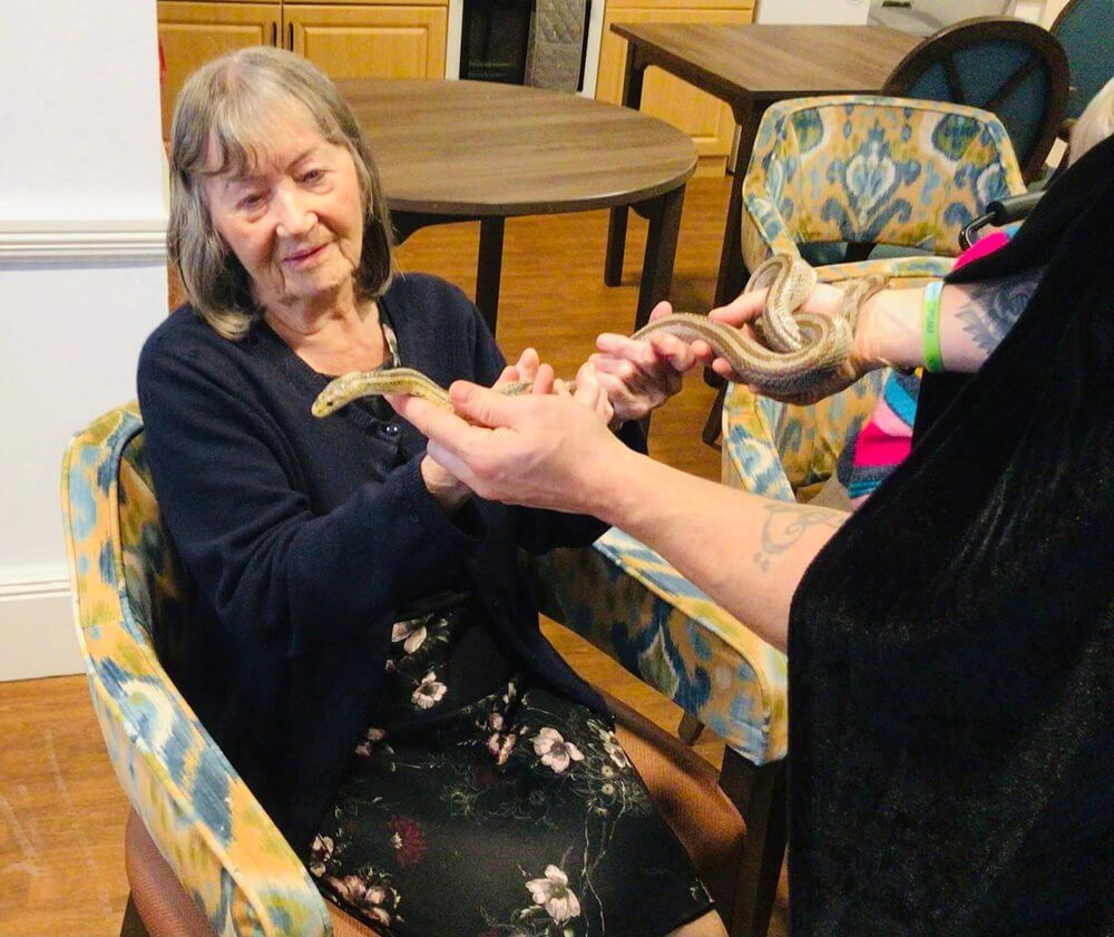 Ladybrook Manor - Ladybrook Manor lifestyle 1