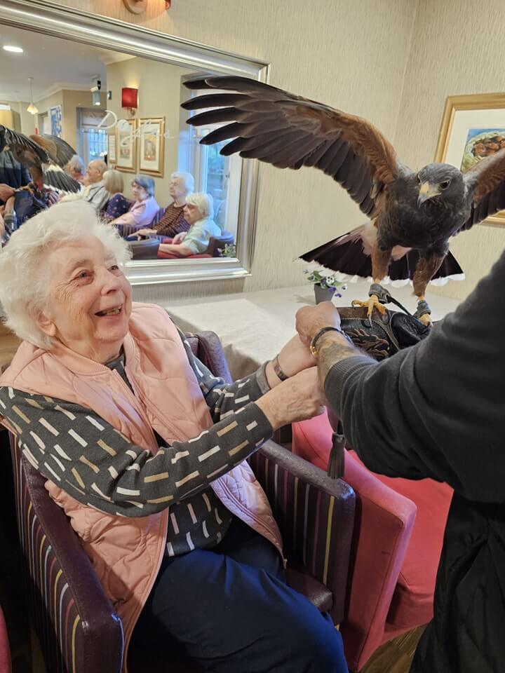 Care Assistant - Colne View bird visit