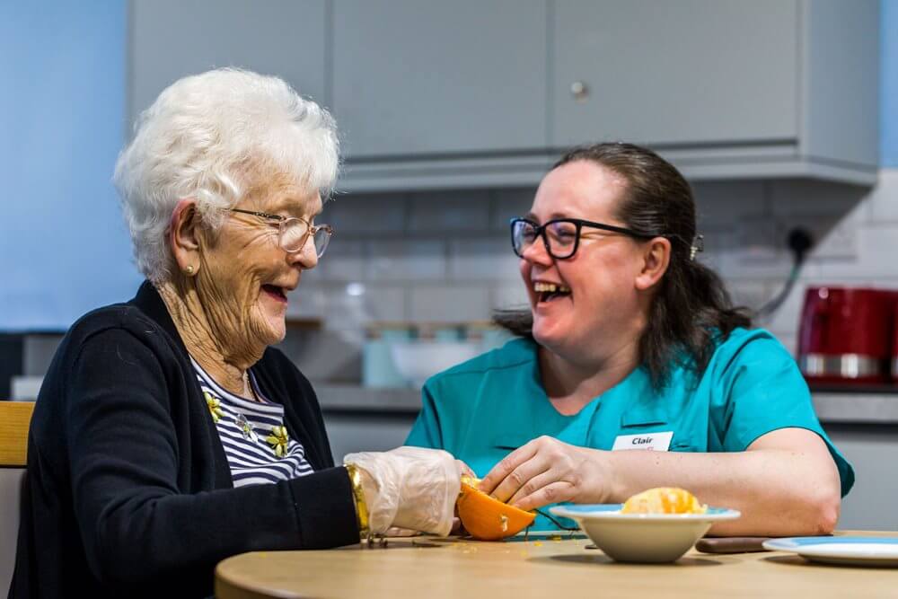 Ponteland Manor - Ponteland Manor bird feeders 1