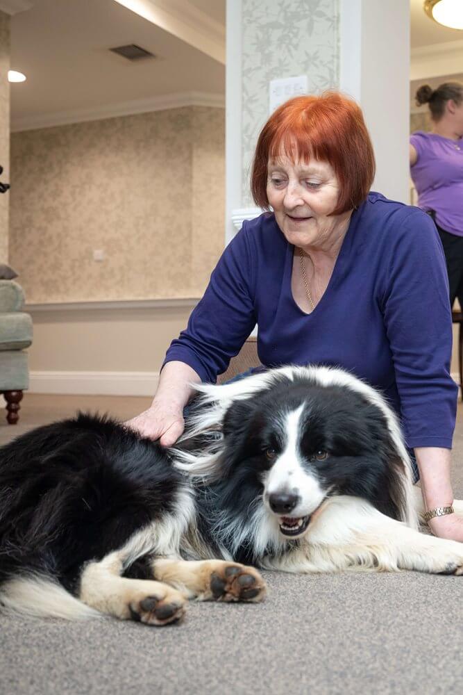 Care Assistant - Blossomfield animal visit 