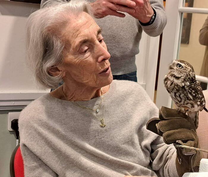 Care Assistant - Dementia - Halecroft Grange Owls