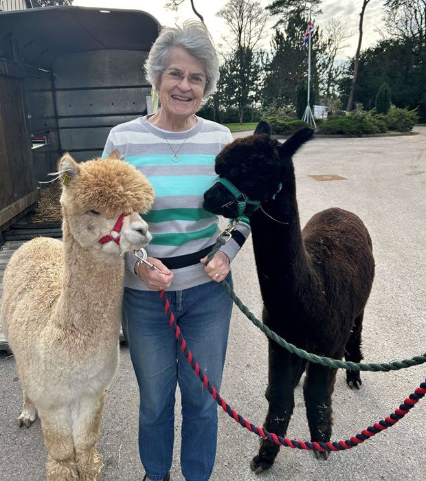 Hospitality Assistant Bank - sway place alpaca visit 
