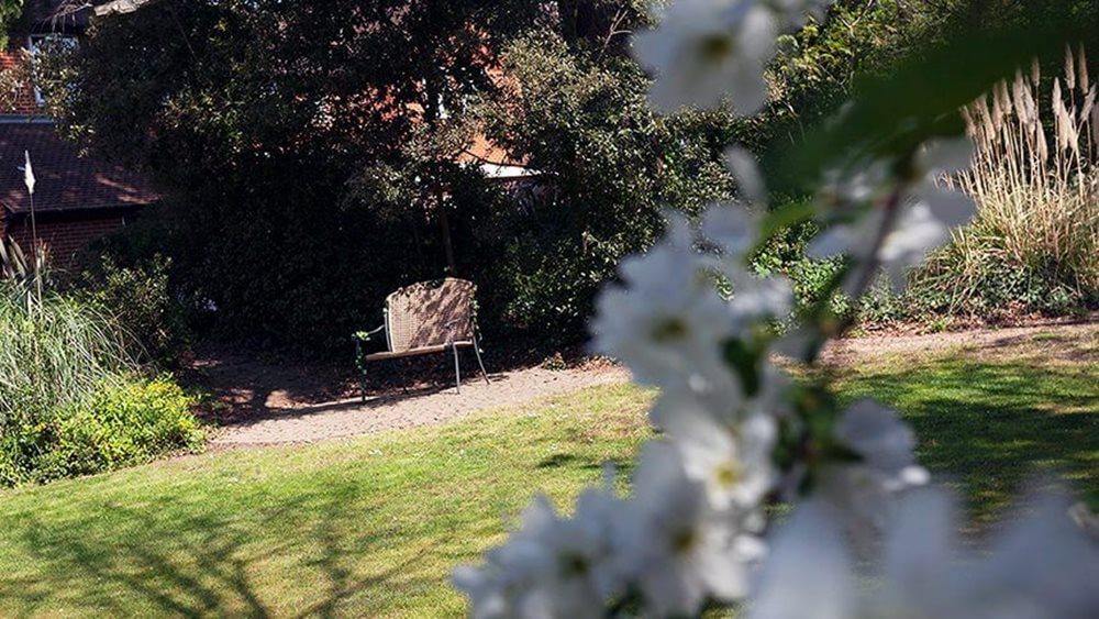 Southborough - Southborough garden 2