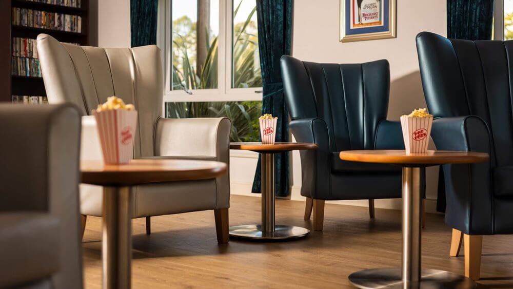 Ivy Court - Ivy Court cinema room