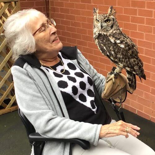 Pearl from Cavell Court has loved owls since she was a child, and was delighted when the team arranged a visit from a feathered friend.