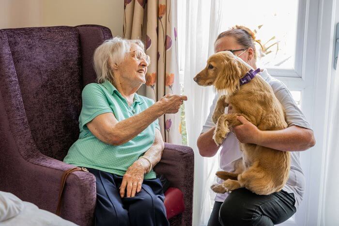 Experts in dementia care