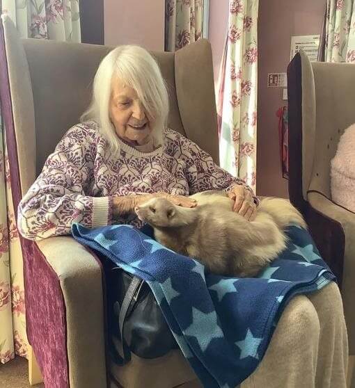 Unusual visitors hop into East Grinstead care home | Care UK