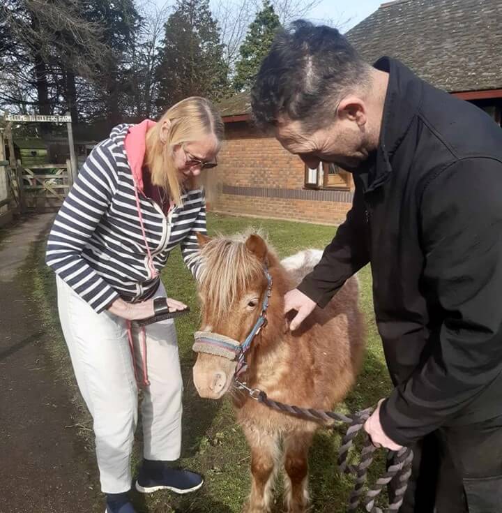 Care Assistant Bank - Broadwater pony visit