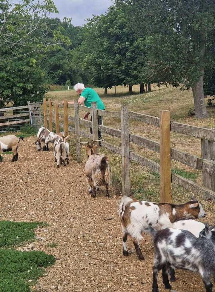 Mills Meadow - Mills Meadow trips and outings 4