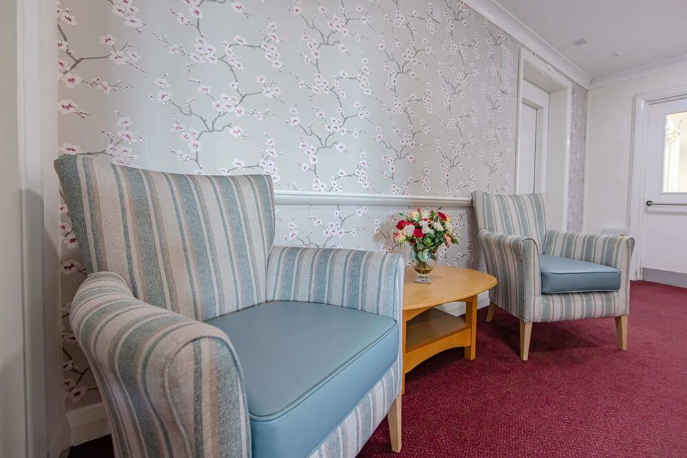 Care Assistant - tall trees lounge