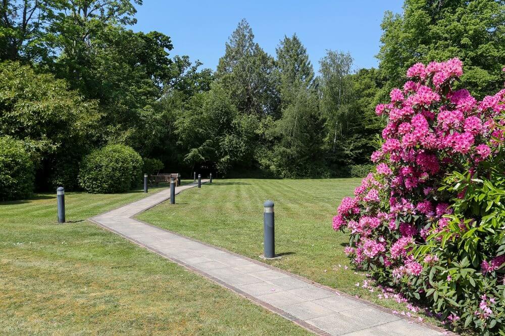Domestic Bank - Sway Place garden