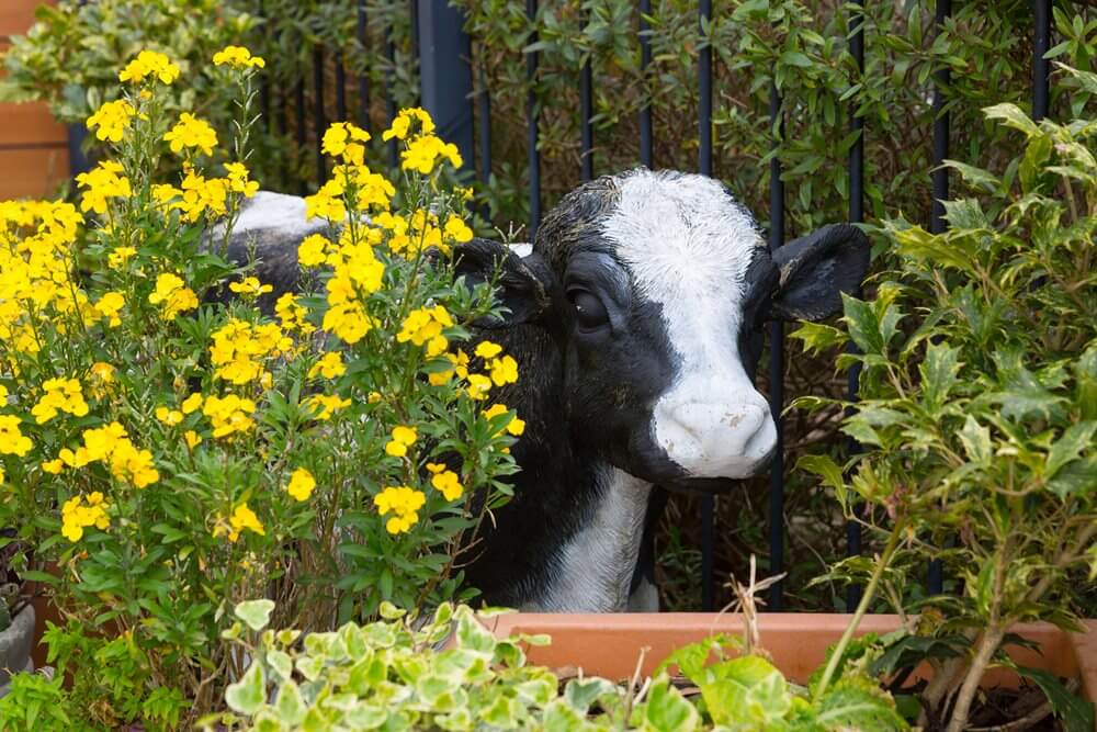 Maintenance Co-ordinator - Parker Meadows garden 9