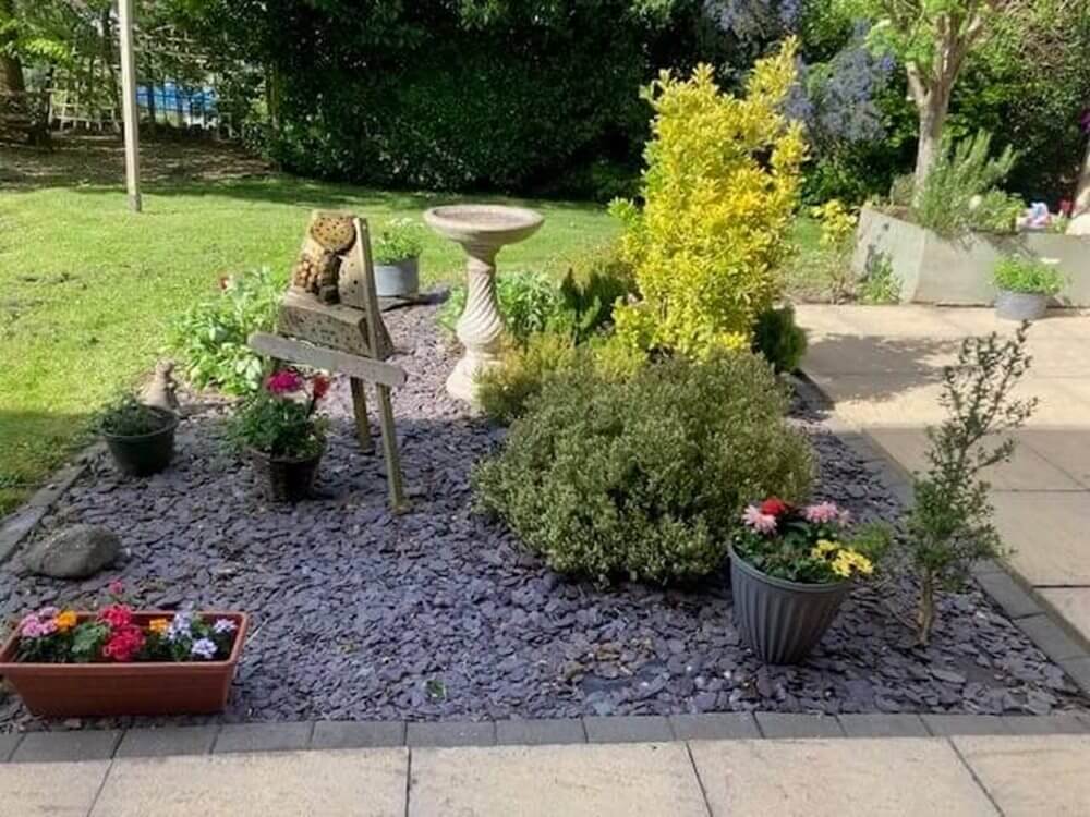 St Georges  - St Georges garden