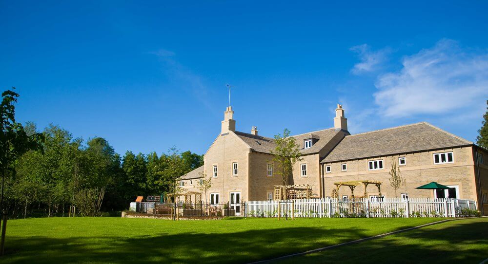 Tall Trees Glade - Tall Trees Glade lead