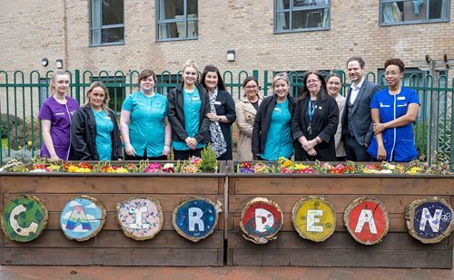 Meet the team