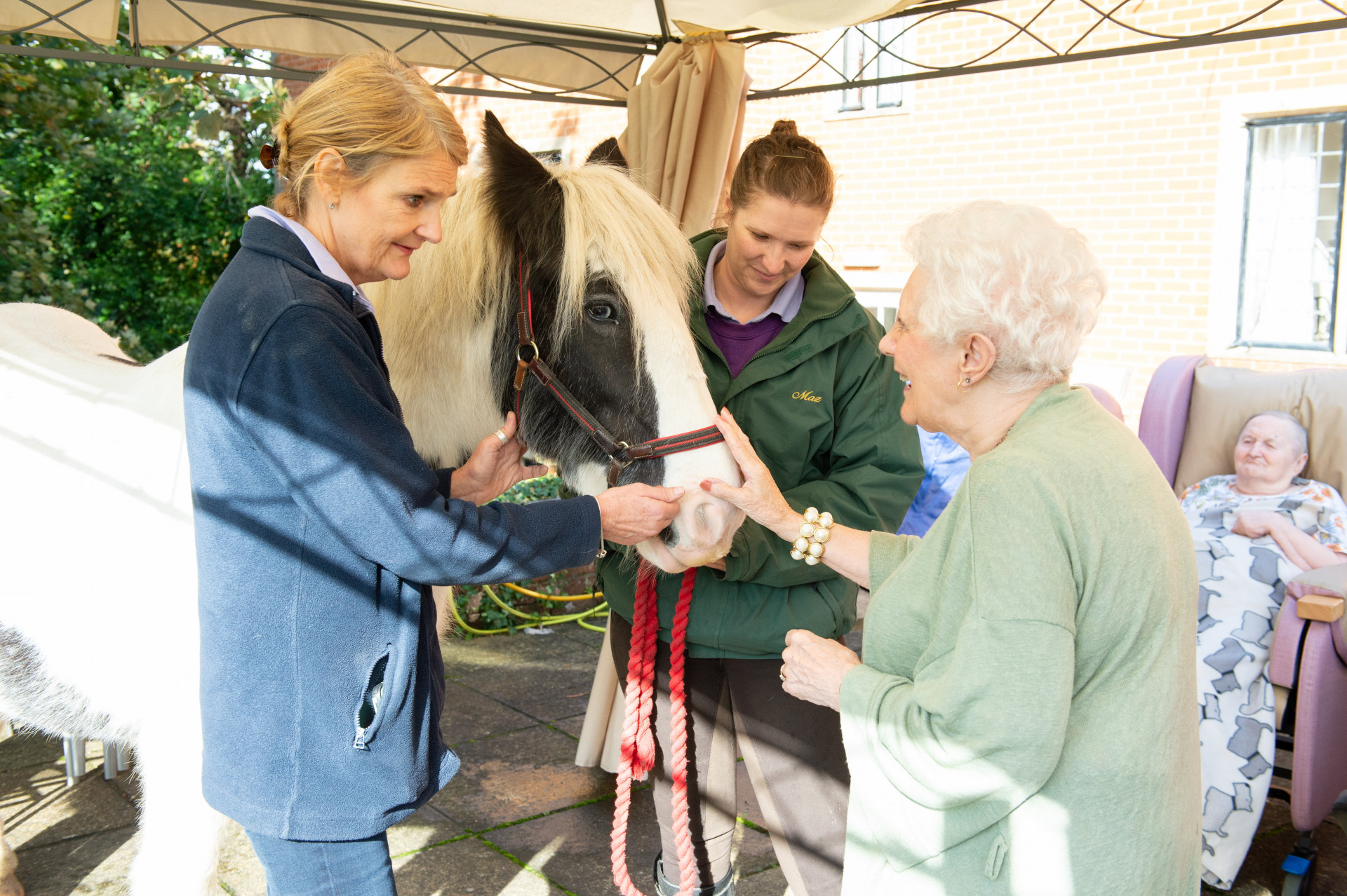 Get creative with Middlesex care homes this Care Home Open Day