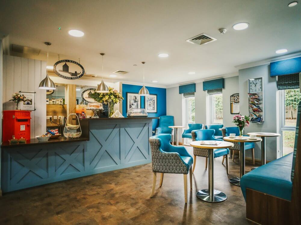 Cleaner - Scarlet House cafe