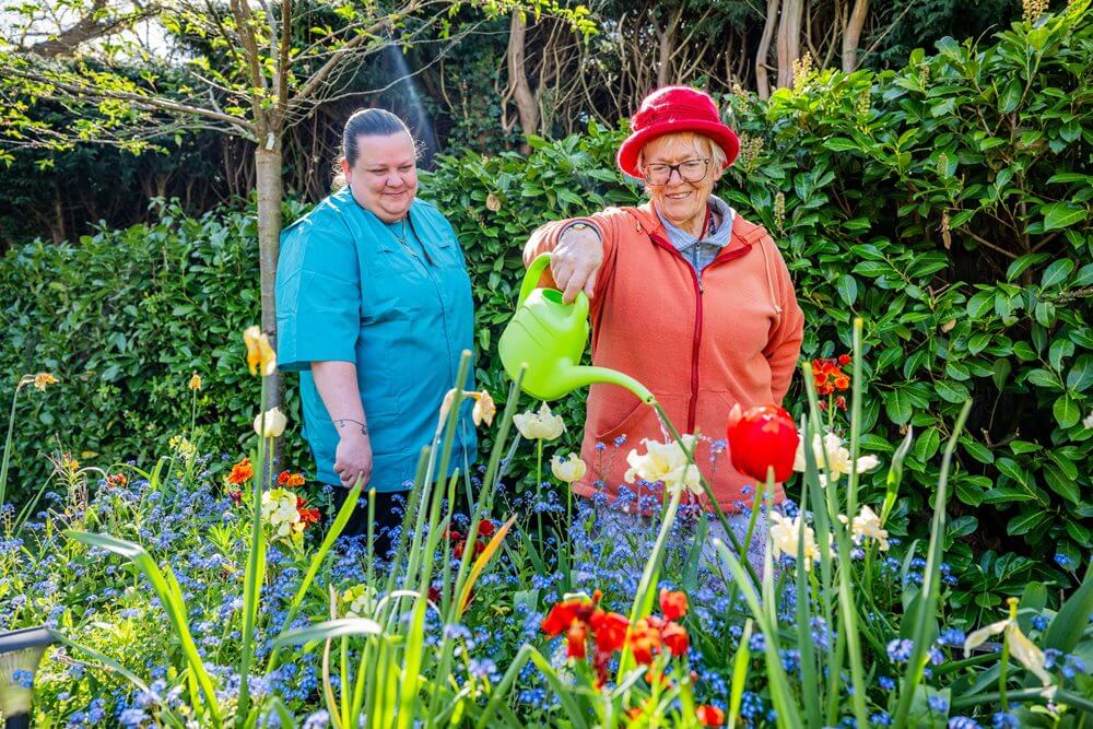 Senior Care Assistant - Smallbrook gardening 2