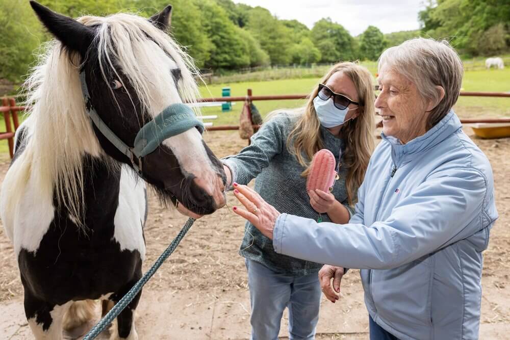Life-long horse lover Diana, 75, was treated to an afternoon at a local pony sanctuary after telling their care team of her wish to spend time with a horse once again.