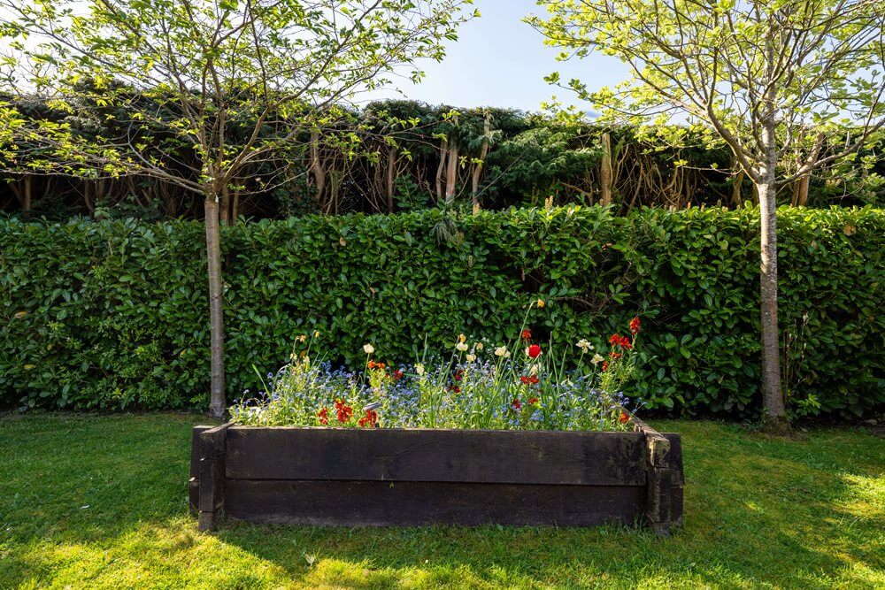 Senior Care Assistant - Smallbrook garden