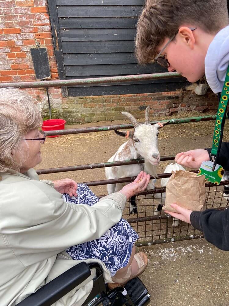 Care Assistant - Davers Court goat visit