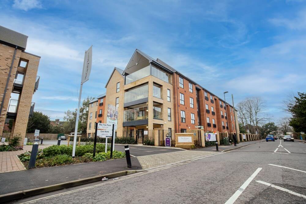 The Wickets - The Wickets EXT 1